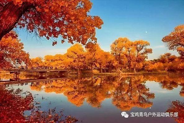 3D保龄球大赛